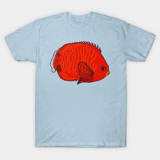 Golden Angelfish T-Shirt